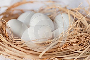 White eggs in a eggs hay on a white background, close up, isolated