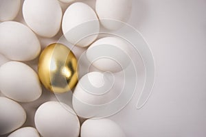 White eggs and Golden egg