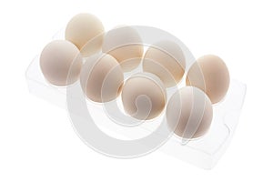 White Eggs in Plastic Egg Carton