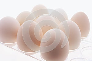 White Eggs on Plastic Egg Carton