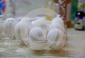 White eggs in plastic egg carton