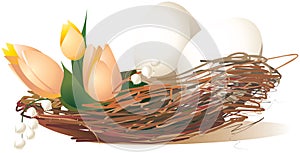 White eggs with tulips in the nest