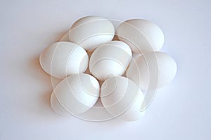 White eggs on a white background