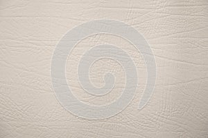 Elaphant leather texture