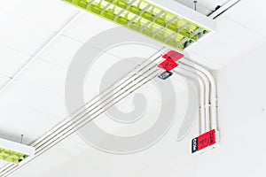White electric PVC pipe in red and black are connected to power lines or electrical wires, Ethernet UTP cables, internet and light