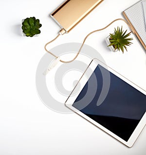 White electronic tablet with a blank black screen, near pots with green plants