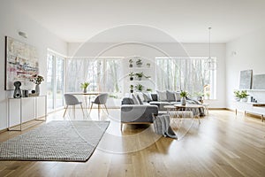White elegant living room interior with windows