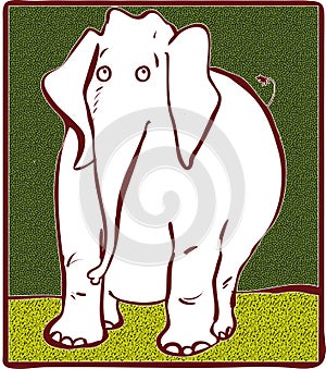 White elephant