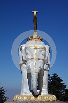 White elephant at MT.Emei