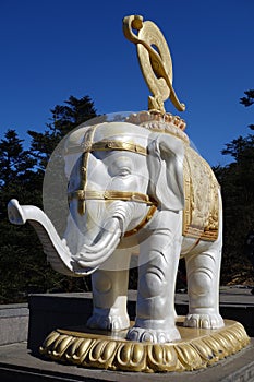 White elephant at MT.Emei