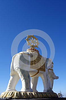 White elephant at MT.Emei