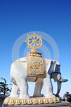 White elephant statue