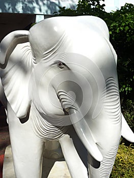 White elephant statue