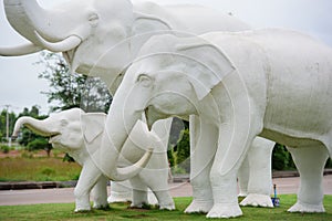 White elephant statue