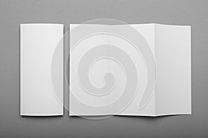 White empty fold leaflet tri fold DL flyer brochure, mockup