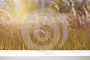 White empty tabletop against a blurred background of natural landscape