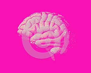 White engraving brain illustration on pink BG