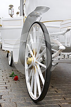 White exclusive wedding carriage with rose