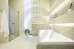 White expensive bathroom