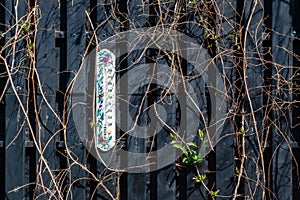 White exterior thermometer, with painted birds and butterflies on a dark wooden fence, with climbing scandent plant vines around