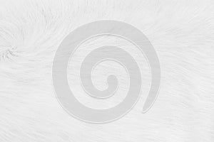 White fabric texture. Abstract cloth wool background
