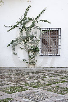 White facade with window