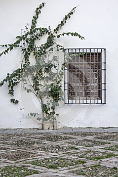 White facade with window