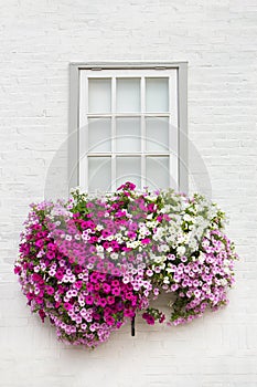 White facade with window and flowers in flower box