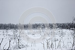 White Fairy Tale - Winter Forest Landscape and Village