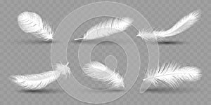 White falling angel or dove feathers. Smooth bird objects, swan Fluffy wing, soft light shadow plume, realistic air