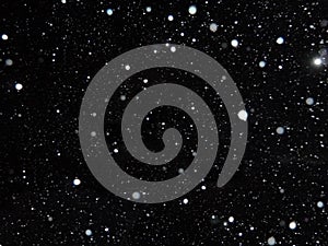 White falling snow on a black background