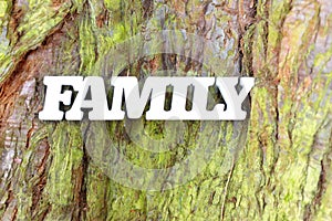 White family sign on old tree trunk texture