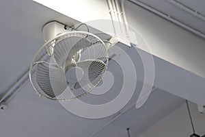 White fan mounted on the beam. Wall mounted fans mounted on top.