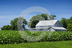 White farm house by field