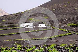 White farm house in Wine growing area on volcanic ash dry ground near Uga, Lanzarote