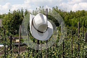 White farmers hat