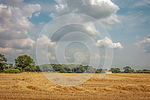 White farmhouse Hay drying in a Field