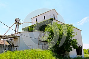 White farming community co-op agricultural feed grain and corn silo and elevator building against a blue sky in rural america