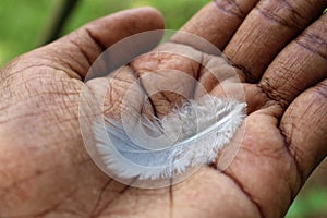 White feather