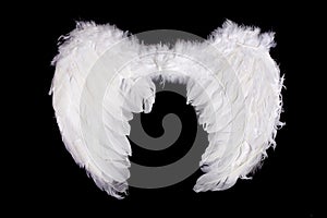 White Feather Angel Wings