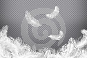 White feather background. Closeup bird or angel feathers. Falling weightless plumes. Dream illustration photo