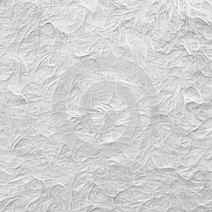 White feather background. Perfect abstract textured pattern