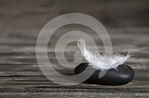 White feather on a black stone: idea for a condolence card.