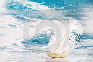 White feather on a blue turquoise background for literature concepts. photo
