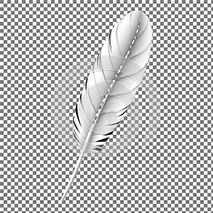 White Feather on Checkered Background