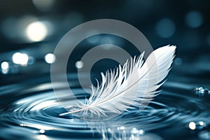 White feather is floating on the surface of a body of water