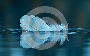 White feather floating on the water surface