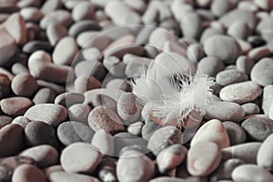 White feather on a grey and black pebble stones. Opposites, Har