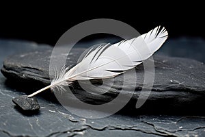 a white feather lying on a black stone