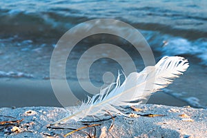 White feather seagulls on a background of the sea. poetry and freedom